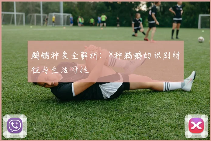鹈鹕种类全解析:8种鹈鹕的识别特征与生活习性